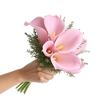Elegant Calla Lilies