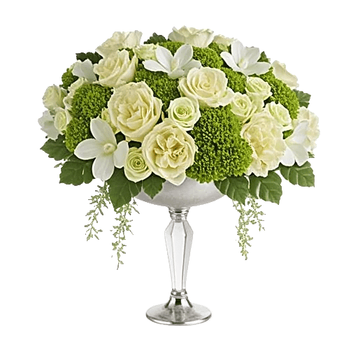 Ivory Blossom Radiance