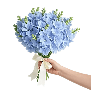 Serenity Blossom Grace