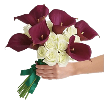 Elegant Calla Lilies