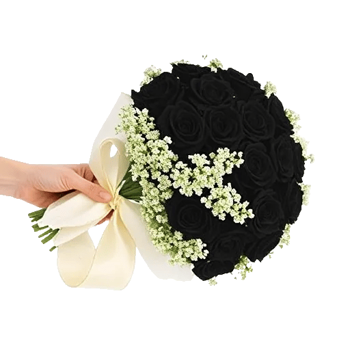 Ivory Garden Grace