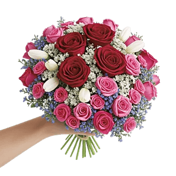 Delicate Petal Cascade