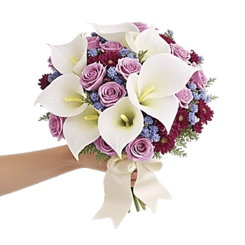 Elegant Calla Lilies