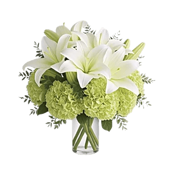 Ivory Blossom Radiance