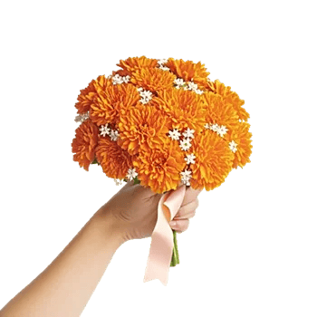 Petal Harmony Bliss