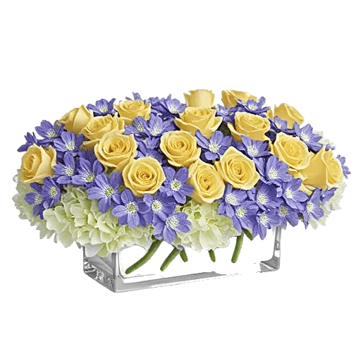 Delicate Petal Cascade