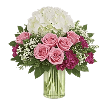 Ivory Blossom Radiance