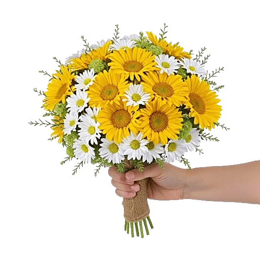 Daisy Meadow Spread