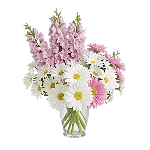 Petal Radiance Bliss