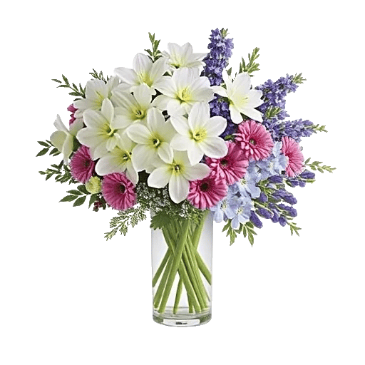Ivory Blossom Radiance