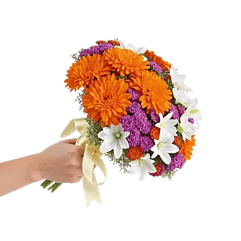 Vibrant Orange Delight