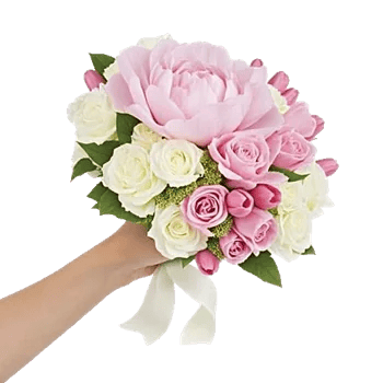 Peony Petal Harmony