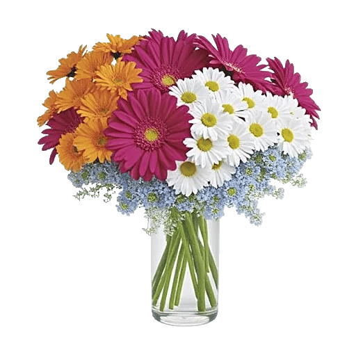 Petal Radiance Bliss