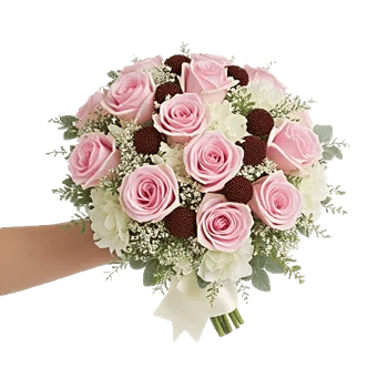 Pastel Pink Roses