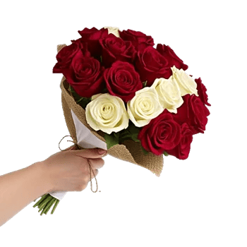 Crimson Rose Elegance