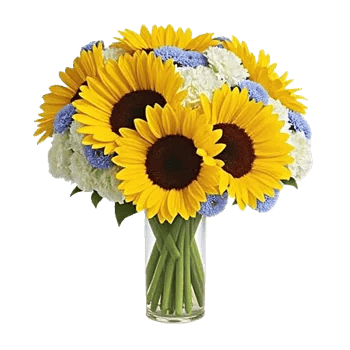 Radiant Bloom Cascade