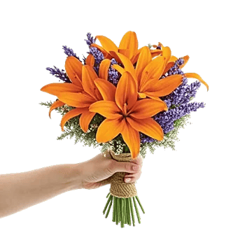 Blossom Glow Symphony