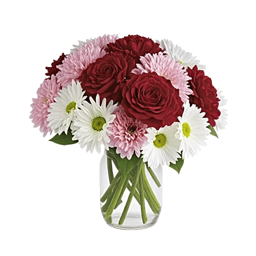 Petal Radiance Bliss