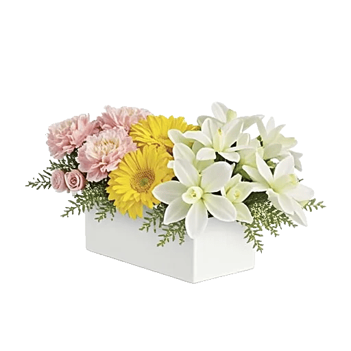 Delicate Petal Cascade