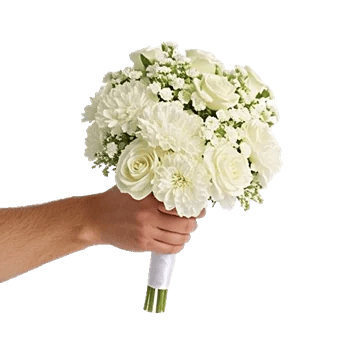 Delicate Petal Cascade