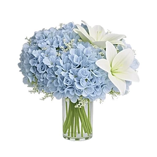 Azure Sky Blooms