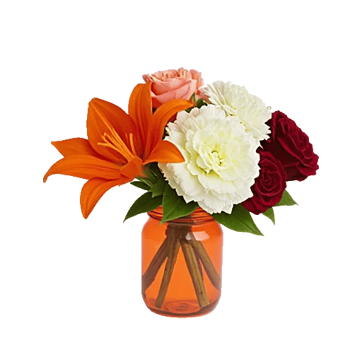 Petal Radiance Bliss