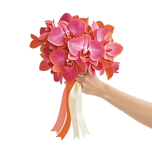 Orchid Petal Glow