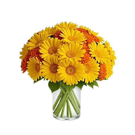Petal Radiance Bliss