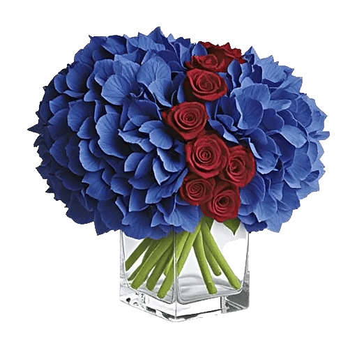 Sapphire Bloom Whisper