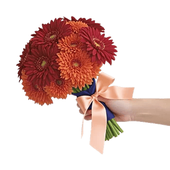 Crimson Blossom Harmony