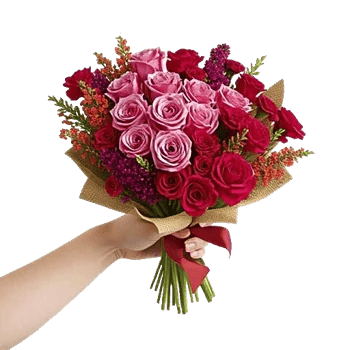 Blushing Rose Symphony