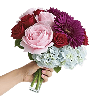 Peony Petal Harmony