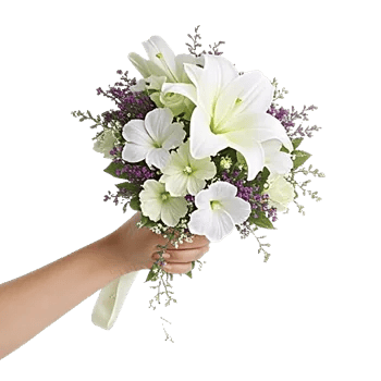 Delicate Petal Cascade