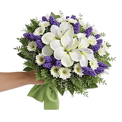 Ivory Garden Grace