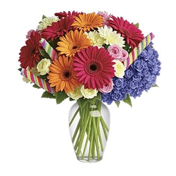 Petal Radiance Bliss