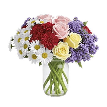 Enchanting Daisy Garden