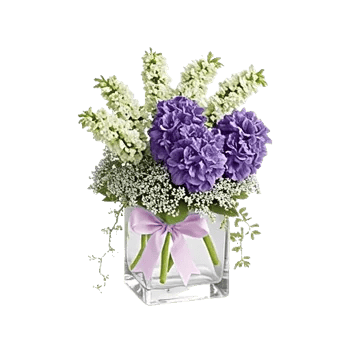 Ivory Blossom Radiance