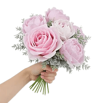 Pastel Pink Roses