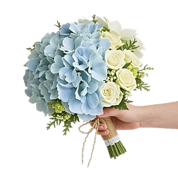 Ivory Blossom Radiance