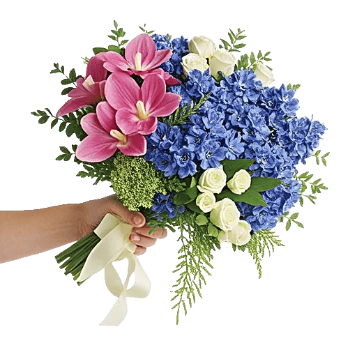 Orchid Bloom Cascade