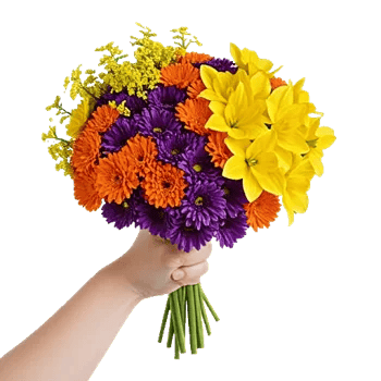 Blossom Harmony Display