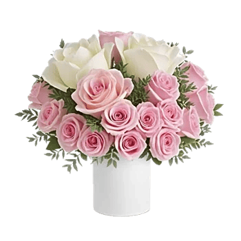 Pink Pastel Roses