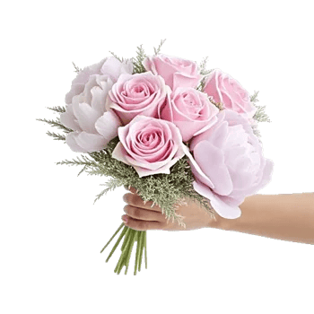Pastel Pink Roses