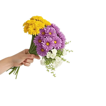 Golden Petal Harmony