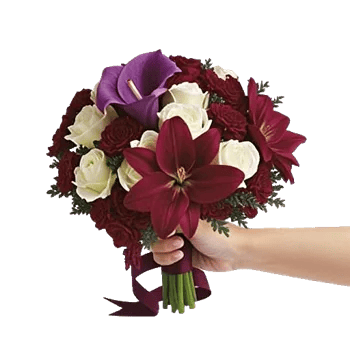 Elegant Calla Lilies