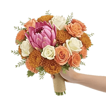 Pastel Pink Roses