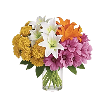 Petal Radiance Bliss