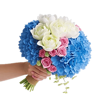 Pastel Blossom Grace