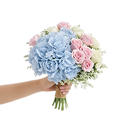 Serene Petal Harmony