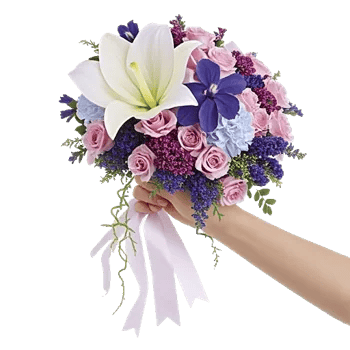 Delicate Petal Cascade